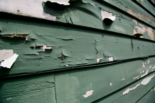 Best Dumpster Rental Services  in San Castle, FL